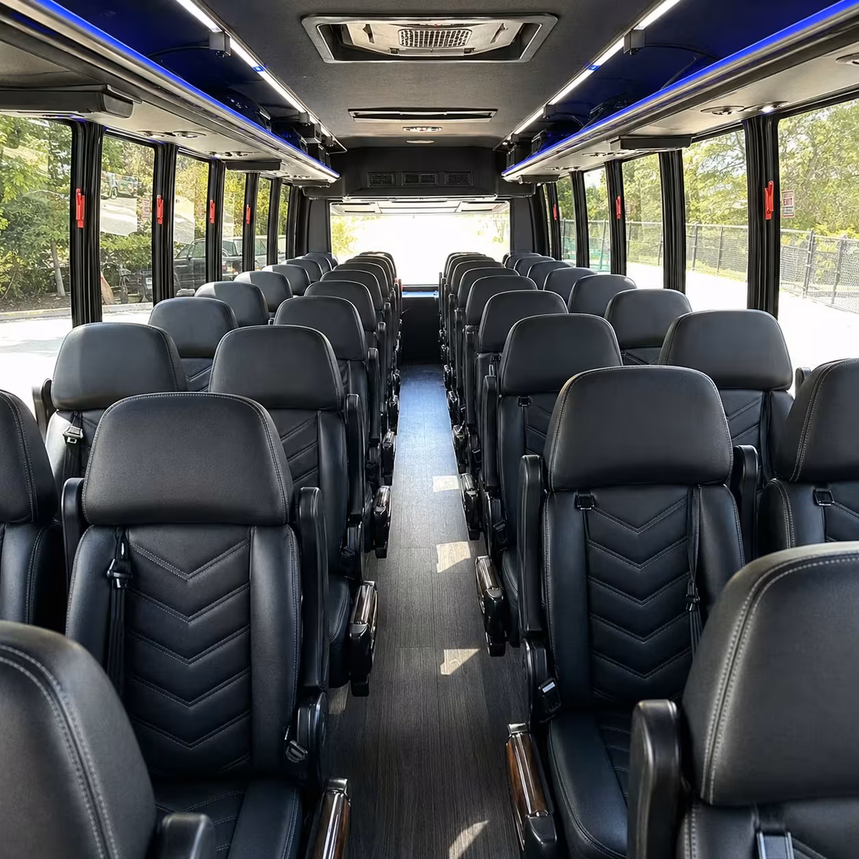 lakewood minibus rentals for denver museum of nature and science